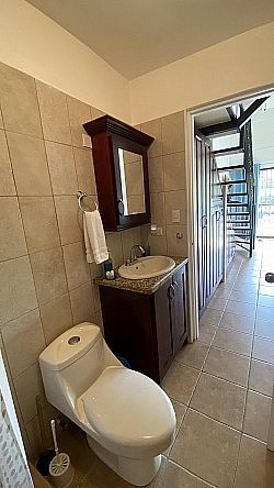 Downstair Bathroom and Shower